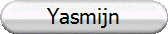 Yasmijn